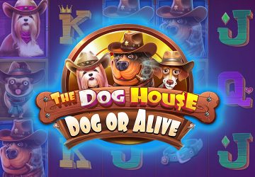 Слот The Dog House Dog Or Alive в Days Casino